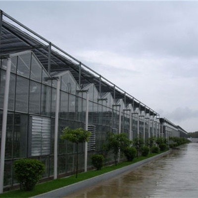 河南绿之茵农业技术开发有限公司齐全 河南中空玻璃温室花卉蔬菜育苗V96图片-河南绿之茵农业技术开发有限公司 -